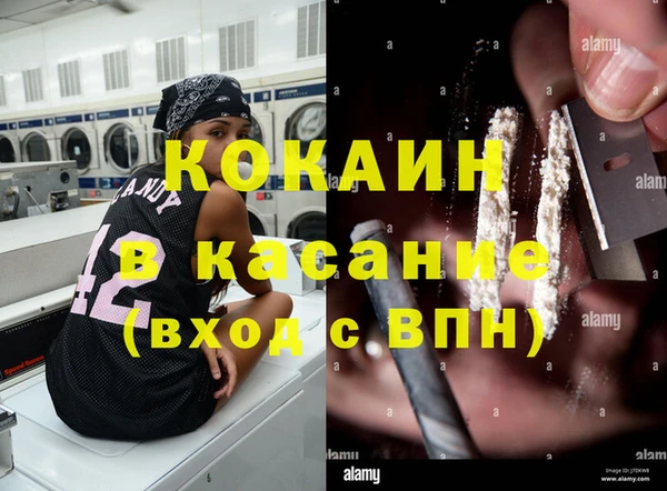 бошки Аркадак